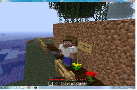 imag_craft2